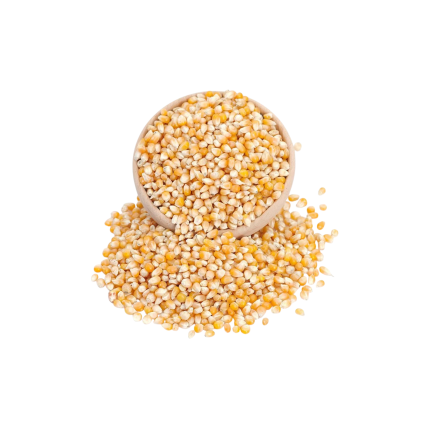 Cerez Pazarı Popcorn 1000 gr